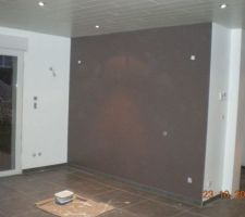 Marron du salon