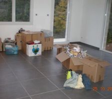 Les 1 ers cartons