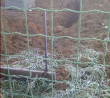 Jour 2 (après 1ers coups de pelleteuse): les fouilles ont été creusées. Les parpaings et le ferraillage ont été livrés. Le camion-toupie est là. Et donc le coulage peut commencer.