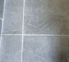 2 carreaux de cass&eacute;s dans le couloir...