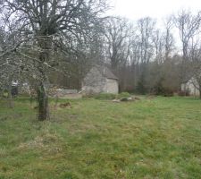 Le terrain vu du fond !!!