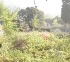Le terrain avant de commencer le nettoyage
