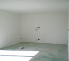 Le salon mis en peinture ! Pour la peinture, nous avons appliqu&eacute; au rouleau deux couches sur plafond et mur. Peinture utilis&eacute;e : CAMI MAT achet&eacute;e chez nouveaux dock. Super peinture, facile &agrave; appliquer, fort pouvoir couvrant,pas de trace et nettoyage &agrave; l'eau