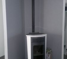Voici notre poêle a granulé edilkamin "LOGO" 9 kw