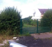 Préparation du terrain