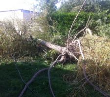 Pr&eacute;paration du terrain