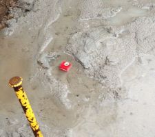 Reconstitution de sol