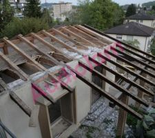 La charpente de l'extension SUD de la maison, nid de guêpes à foison