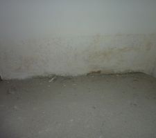 Le mur nettoyé de ses moisissures