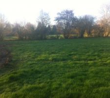 Notre terrain 1240m&sup2;  160m&sup2; d'allee :)