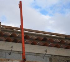 Les premi&egrave;res g&eacute;noises