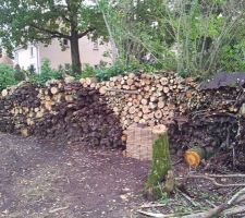 Débitage des arbres en cours