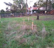 Marquage du terrain par des piquets pour le terrassement