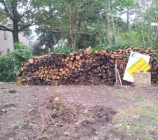 Fin du débitage des arbres