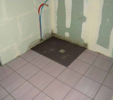 Sdd du rdc (avec moza&iuml;que de la douche italienne)