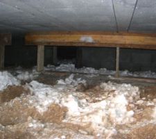 J24_ La cave ?