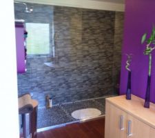 Vue d'une douche sur deux ....