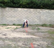 Mer&ccedil;i Nanar pour l'&eacute;lagage des repousses d'arbres sur le terrain et pour le tra&ccedil;age des limites du terrain !!!