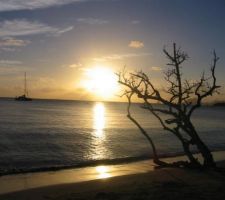 Photo de vacances (Martinique)