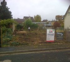 Déboisé face avant