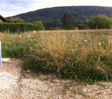 Affichage du permis de construire sur le terrain "eb friche"