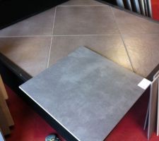 Carrelage de chez Delannoy .