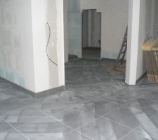 Hall vu du s&eacute;jour