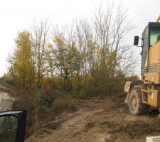 Voici le terrain avec ses arbres.