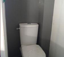 Le mur du fond peint pour pouvoir poser les toilette , je vais peindre les autres murs ce week end je pense en vieux rose et gris