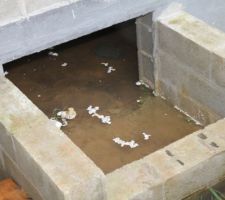 Bcp d'eau ds le vide sanitaire !!!