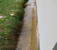 Eau stagnante autour de la maison