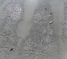 Gel de la dalle en surface, c'est grave???