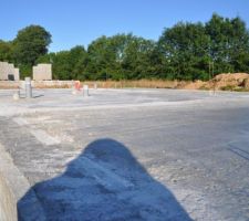 Dalle... qui aurait pu &ecirc;tre mieux travaill&eacute;e, mais pas de treillis qui d&eacute;passe, ni de grosses irr&eacute;gularit&eacute;s ( dalle r&eacute;guli&egrave;re dans ses petites irr&eacute;gularit&eacute;s )