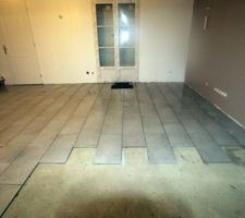 Premi&egrave;res d&eacute;coupes ch...tes le long du mur :-(