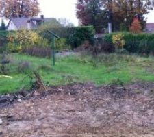 Terrain avant le d&eacute;broussaillage