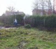 Terrain pendant le d&eacute;broussaillage