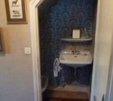 RDC - Autre concept intéressant: l'évier et bidet (sur votre gauche) sous escalier. Ca nous a fait rêver!!! Mais comment utiliser correctement le bidet?