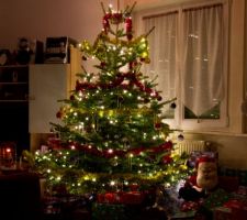 Joyeux noël et bonnes fêtes de fin d'année à toutes les personnes qui suivent ce récit!!