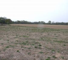 Voila la vue que nous auront de notre terrasse plein SUD