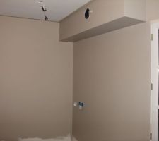 Gris Lama dans la cuisine.