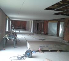 Le plafond des pièces a vivre