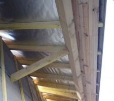 D&eacute;tail sur le pare-pluie cot&eacute; nord - diff&eacute;rent du cot&eacute; sud !? et sur la frisette