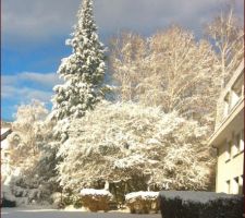 Pour fêter le début du chantier, la neige s'invite à Divonne. Bon timing pour les maçons