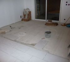 Reste a finir carrelage salon