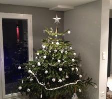Le premier sapin de no&euml;l....