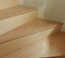 Escalier b&eacute;ton , habillage h&ecirc;tre