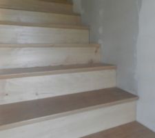 Escalier b&eacute;ton , habillage h&ecirc;tre