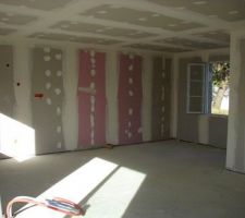 Pièce à vivre coté salle à manger