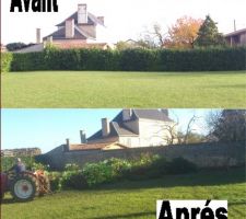 Haie de laurière arrachée d'un coté du terrain. 2 mètres de gagnés sur toute la profondeur du terrain et un joli mur en pierres ...