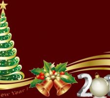 Sapin année 2013.